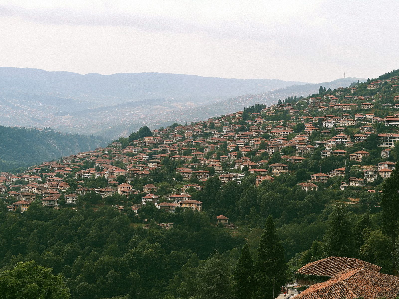 Hillside settlement of houses surrounded by forest and mountains