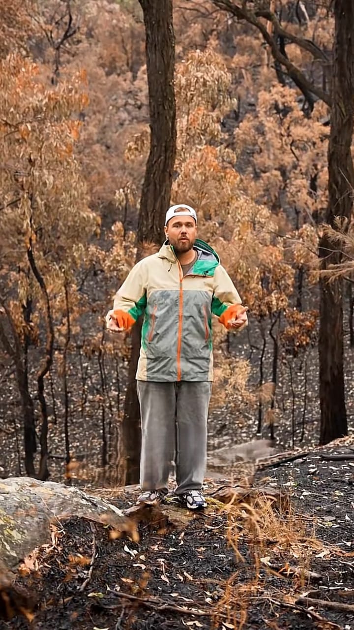 Presenter standing in a eucalyptus forest scorched by bushfire