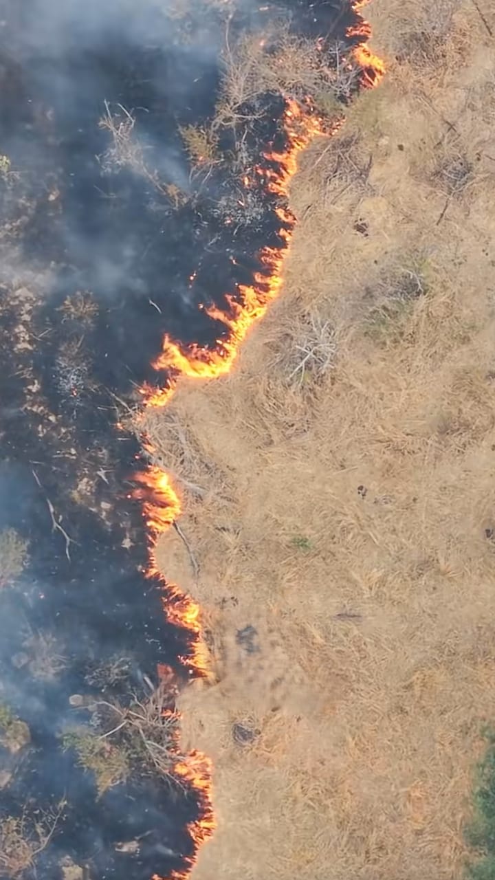Aerial view of a fire front burning through dry grass