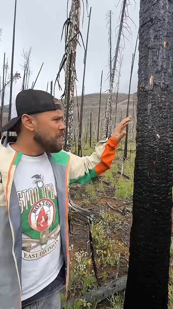 Presenter touching a charred tree trunk among burnt trees