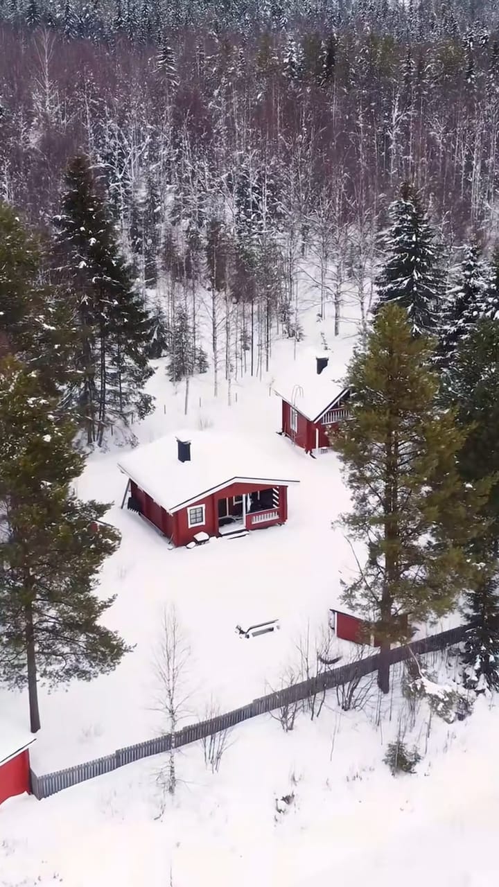 Aerial view of a red wooden house among snow-covered trees
