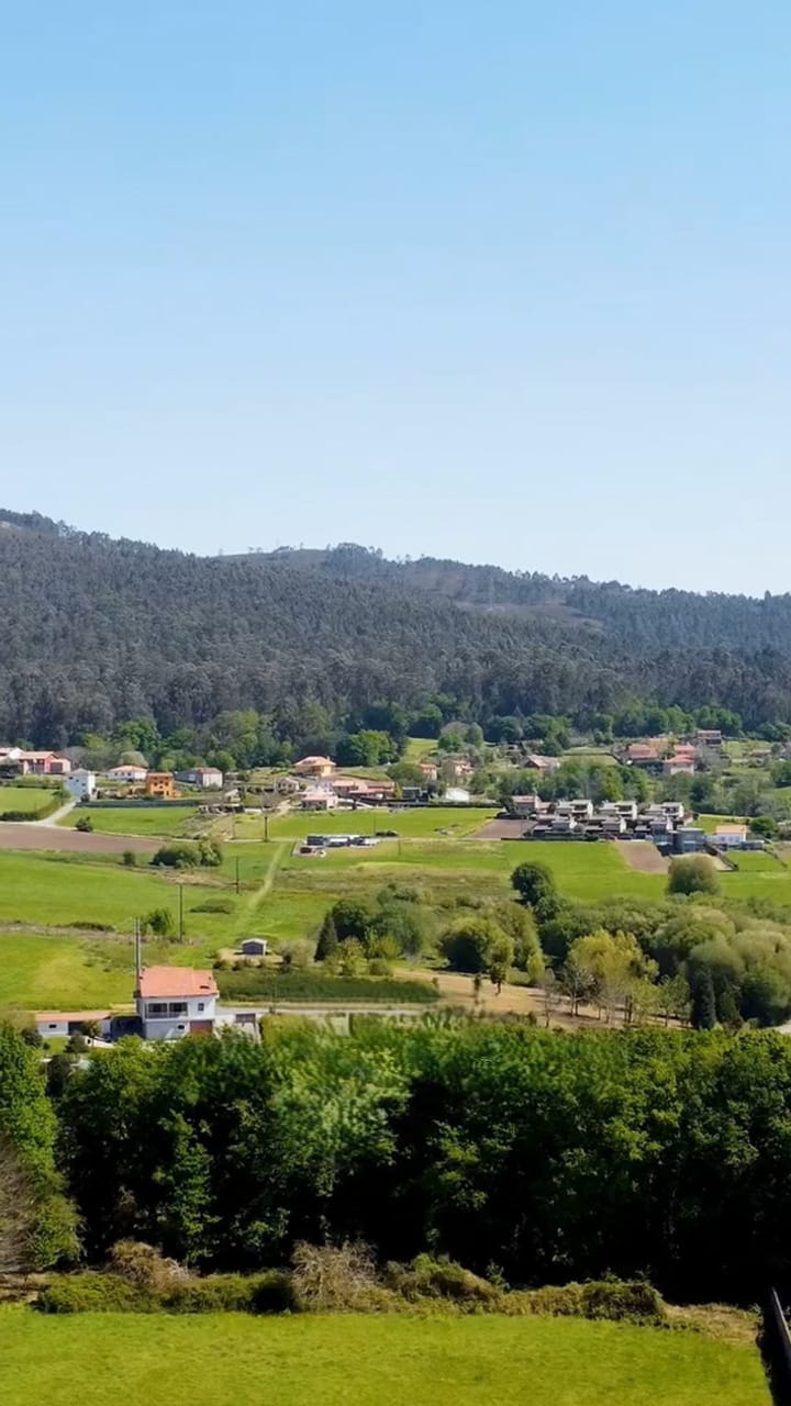 Village and fields below a forested hillside